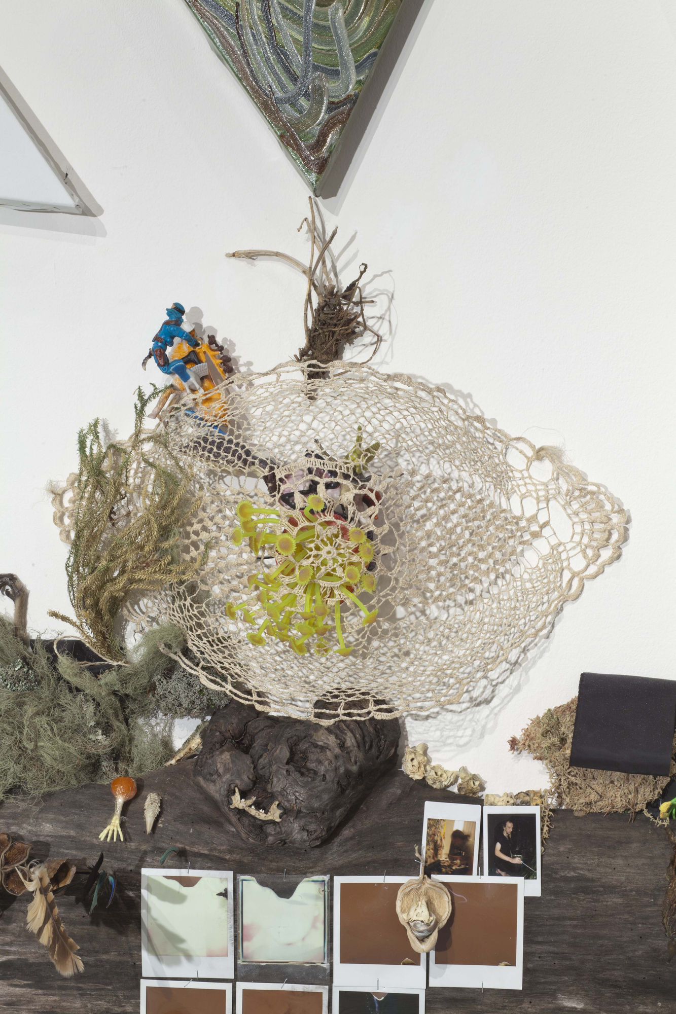 Vlad Kulkov Under volcano auspice