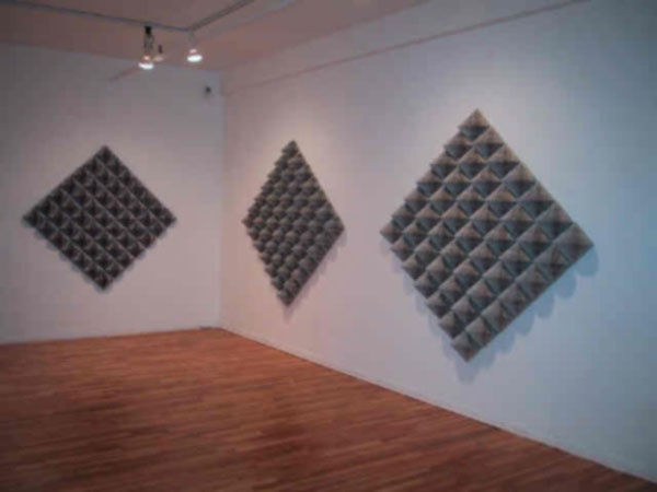 Jérôme Fortin: Solitudes