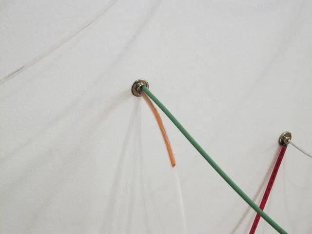 Circuits tubulaires: Marie-Josée Laframboise