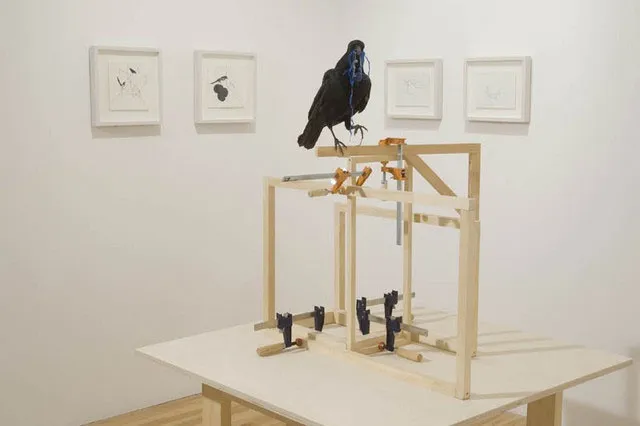 Faits divers : Michael A. Robinson