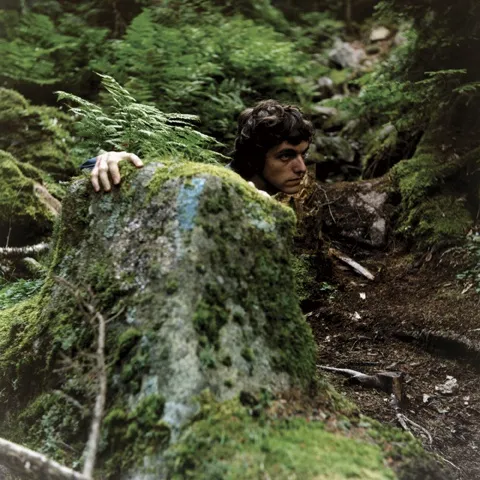 Michel de Broin + Eve K. Tremblay, Honeymoon AP2 (beast), 2003, C-Print, edition of 5