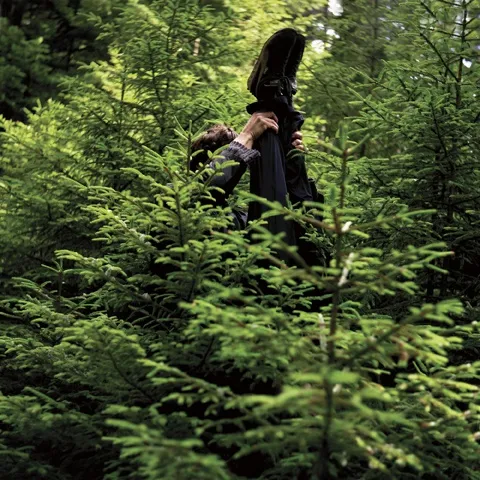 Michel de Broin + Eve K. Tremblay, Honeymoon AP1 (capture) , 2003, C-Print, edition of 5