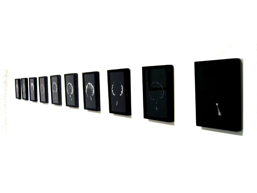 Marie-Jeanne Musiol, Déclin et mort d’une feuille de géranium, photographiée sur une période de 72 heures, 10 photographies Kirlian, épreuves argentiques, 18 x 12.5 cm, édition de 7