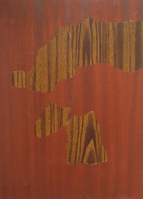 Paul Butler, The Difference Between, 2006, bois, vinyle, 59 x 43 cm