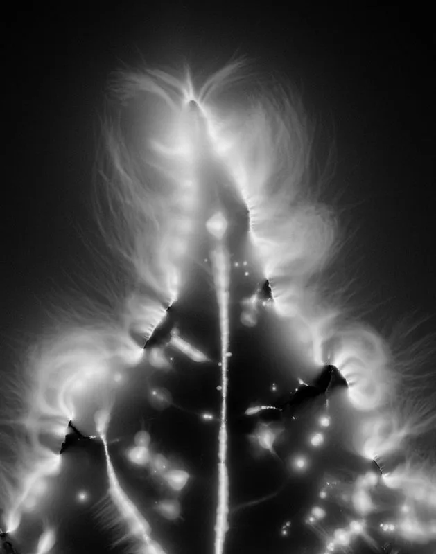 Marie-Jeanne Musiol, Miroir du cosmos # 2, 2006, impression numérique sur film transparent, 43 x 36 cm, édition de 7