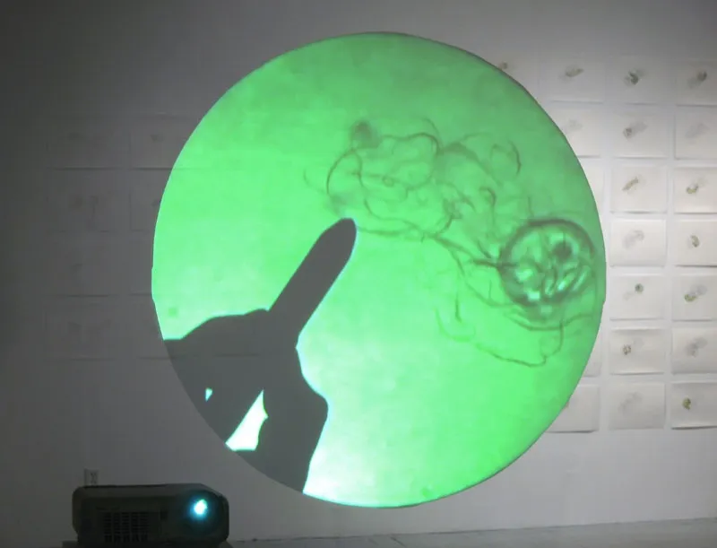 Annie Thibault, Apprivoisements fugaces: La danse d’Euglena (cercle vert), 2006, projection lumineuse, 44 cm diam., 4:57 minutes