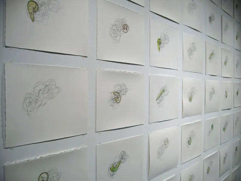 Annie Thibault, Apprivoisements fugaces: La danse d’Euglena(détail), 2006, Série en couleur et en noir et blanc, parcours no 1 à 48, 23 x 31 cm chacun