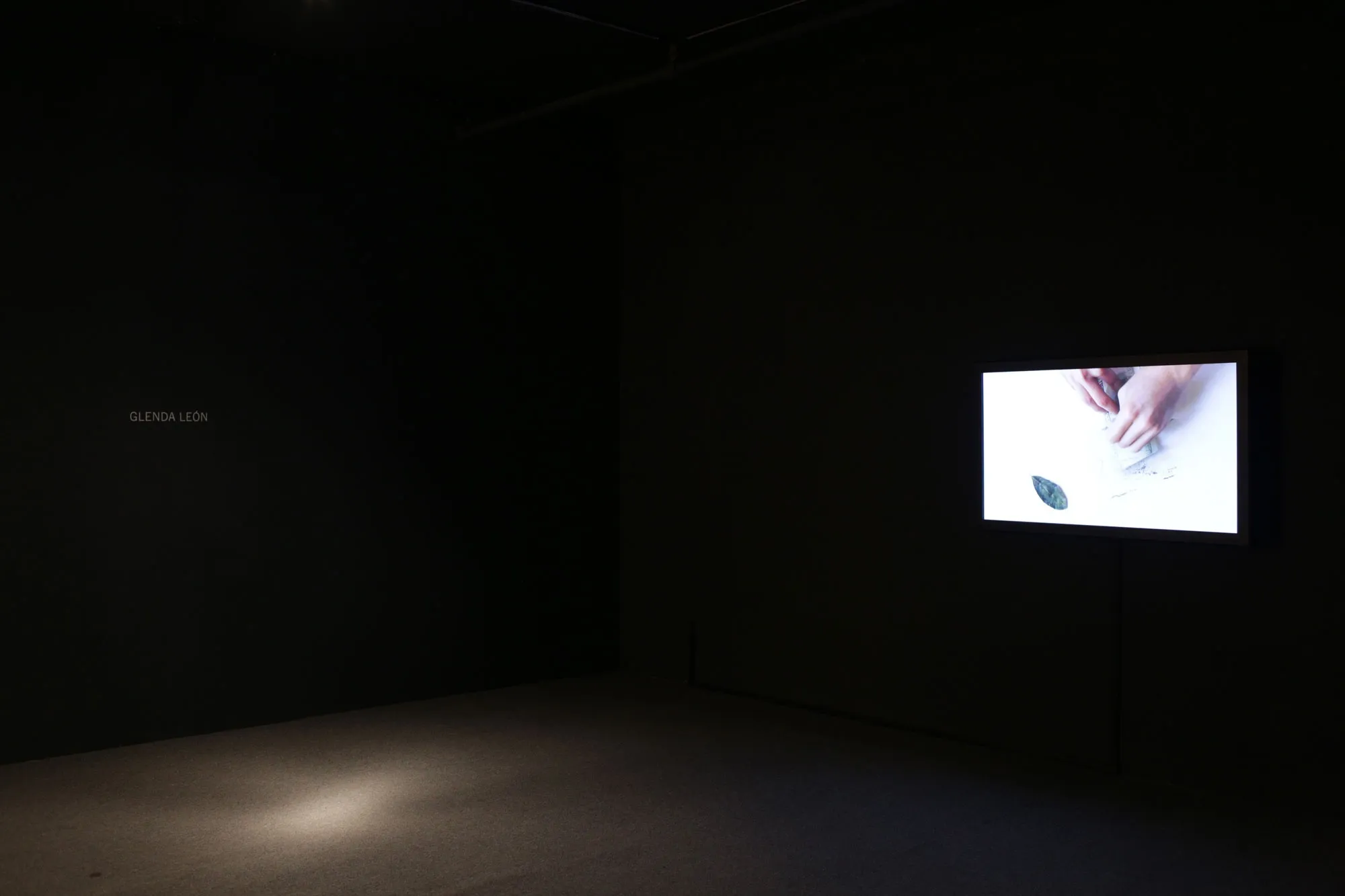 John Player et Glenda Leon