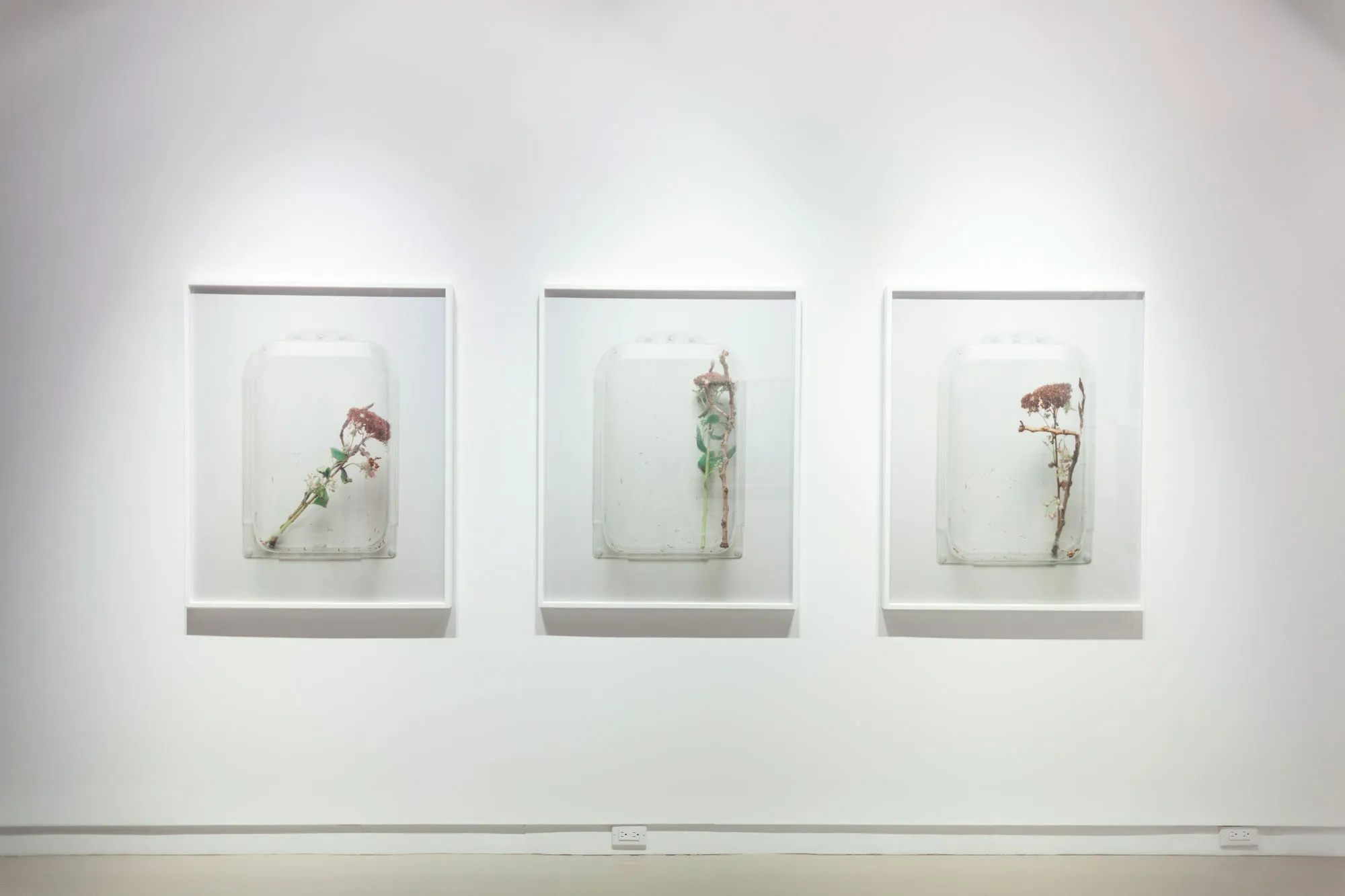 Chih-Chien Wang @ Centre Space (Toronto)