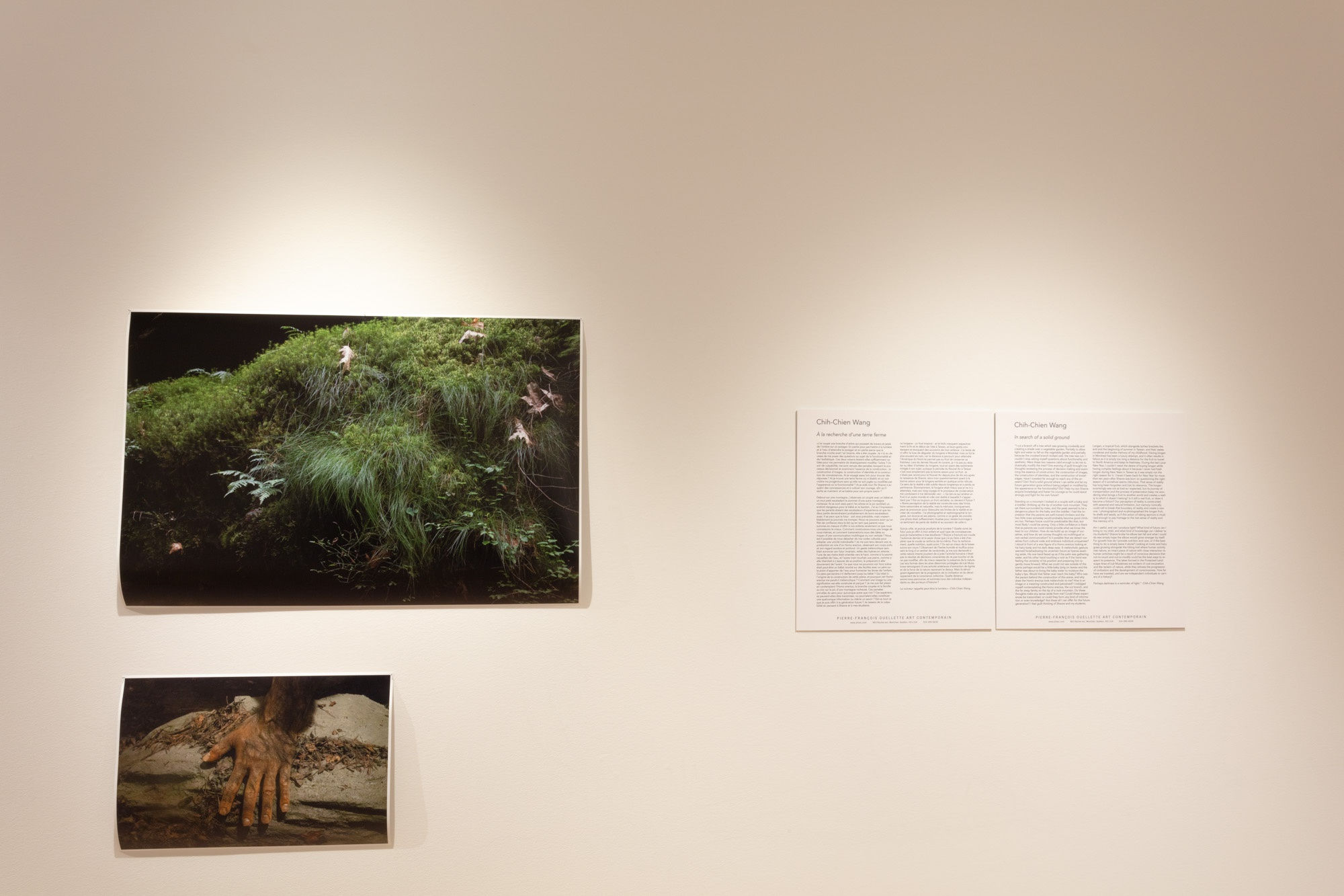 Chih-Chien Wang: In Search of a Solid Ground