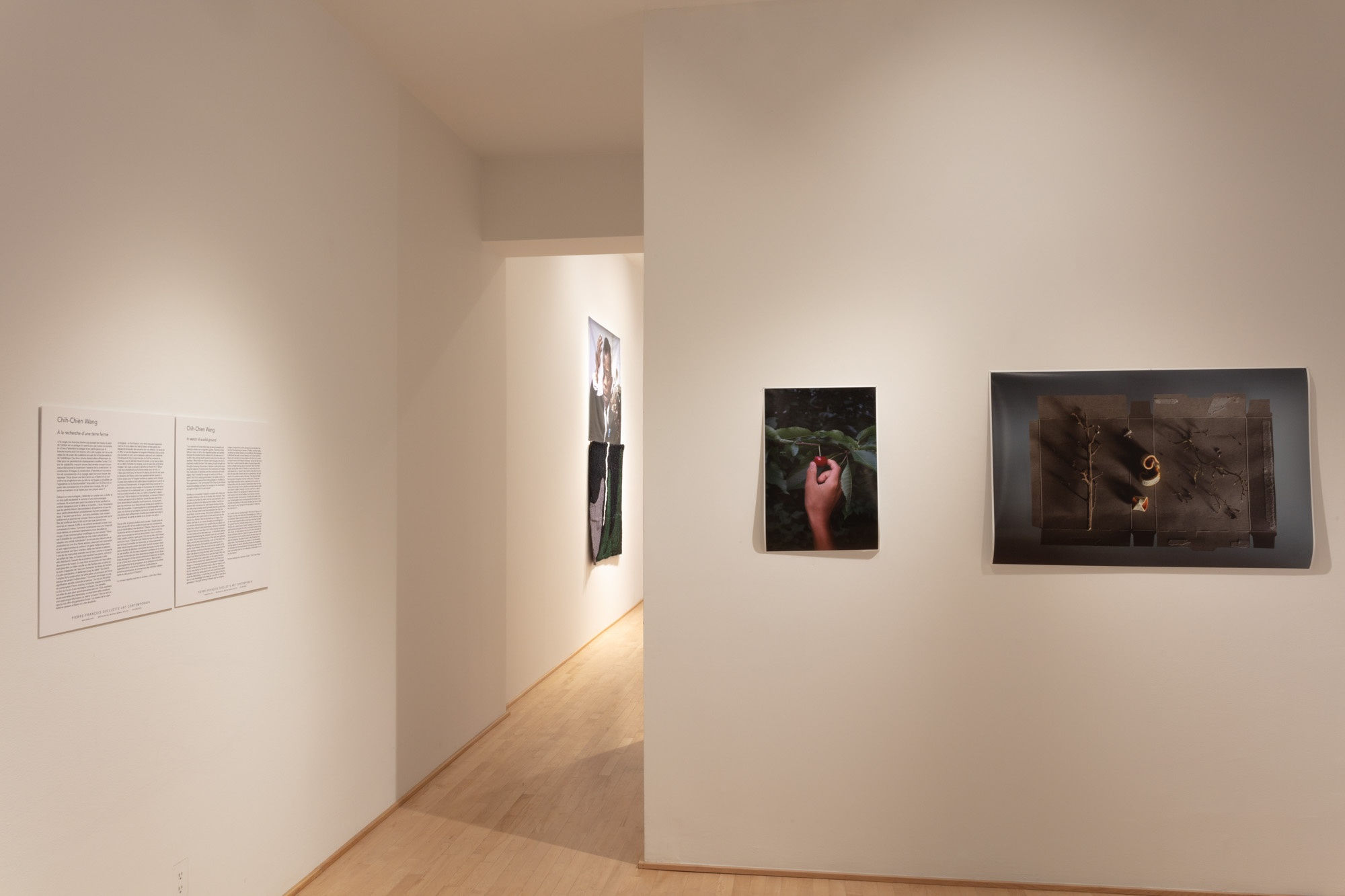 Chih-Chien Wang: In Search of a Solid Ground