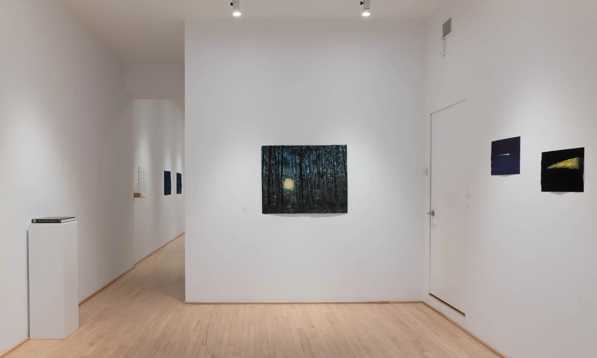 Livre des miracles, une exposition de Ripley Whiteside