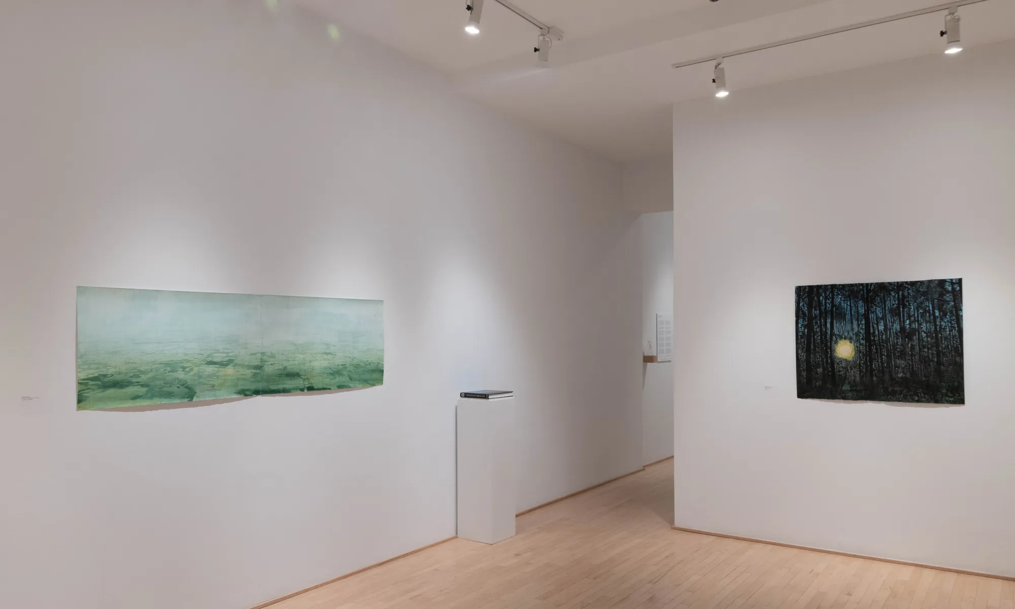 Livre des miracles, une exposition de Ripley Whiteside