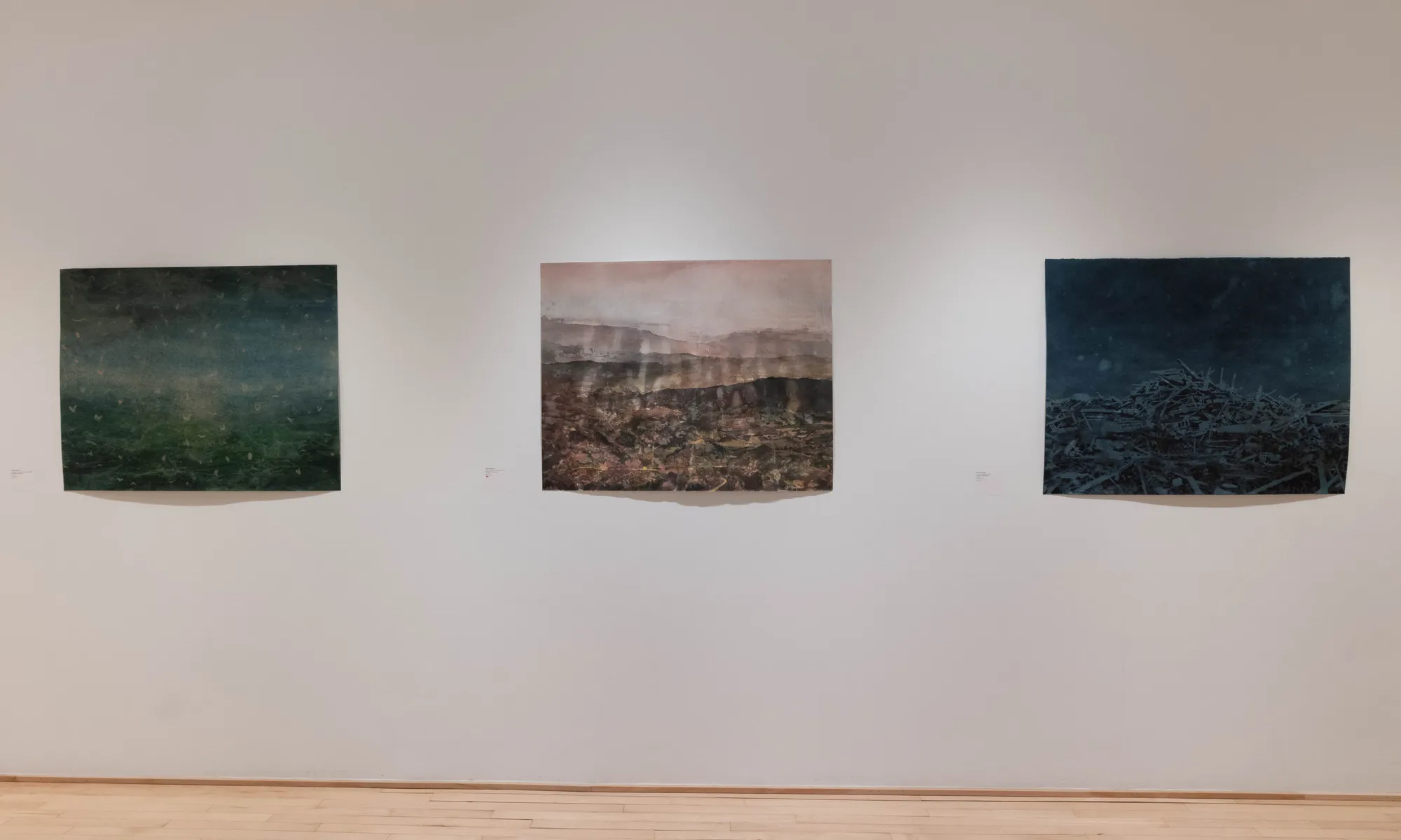 Livre des miracles, une exposition de Ripley Whiteside