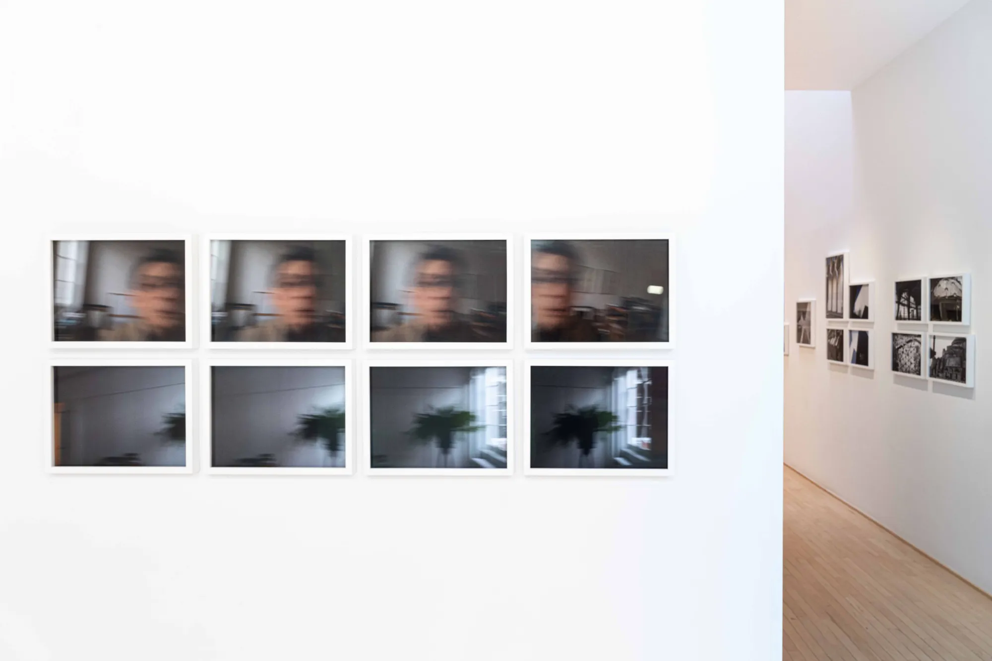 Observation - Phyllis Lambert