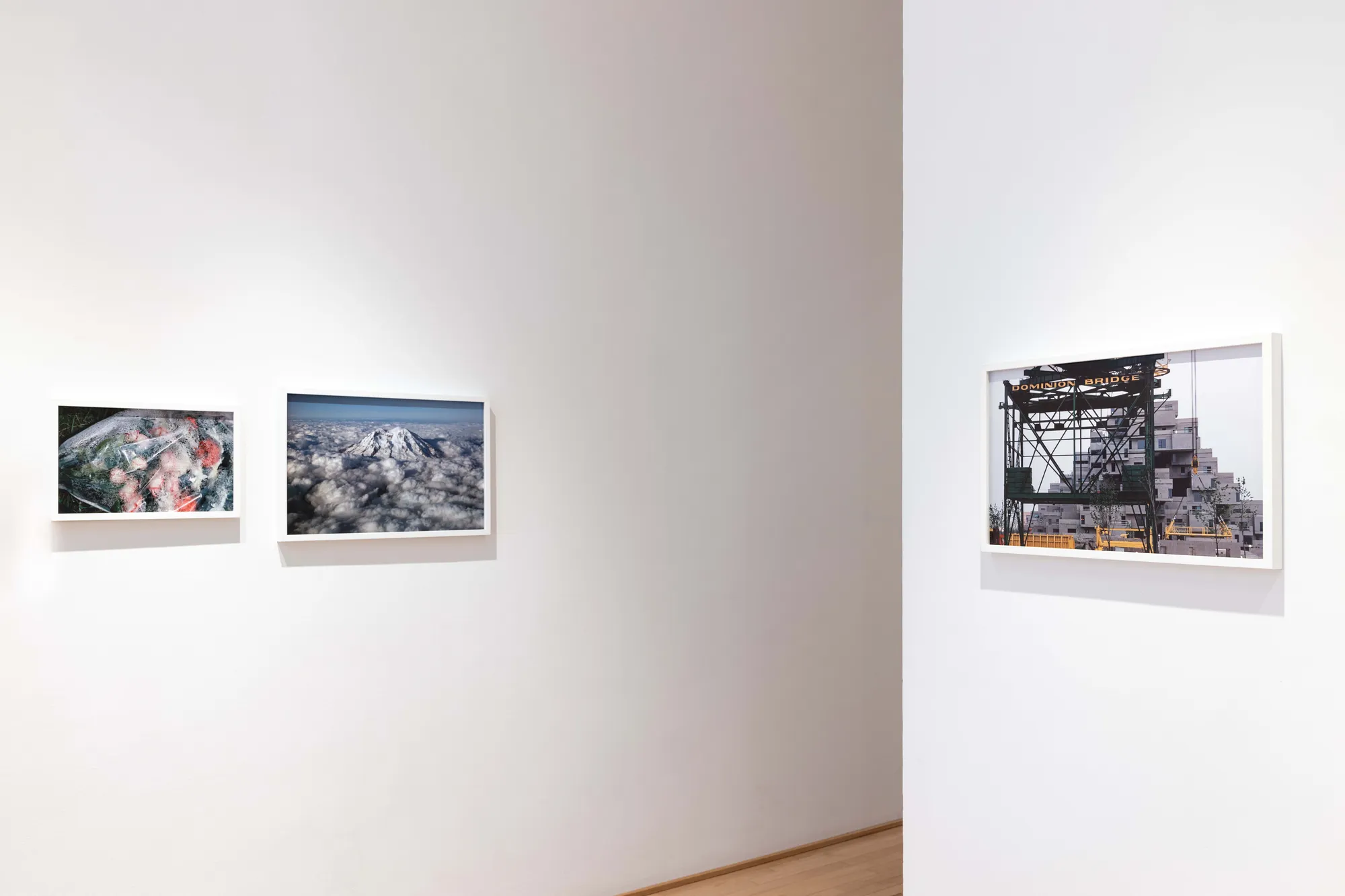 Observation - Phyllis Lambert