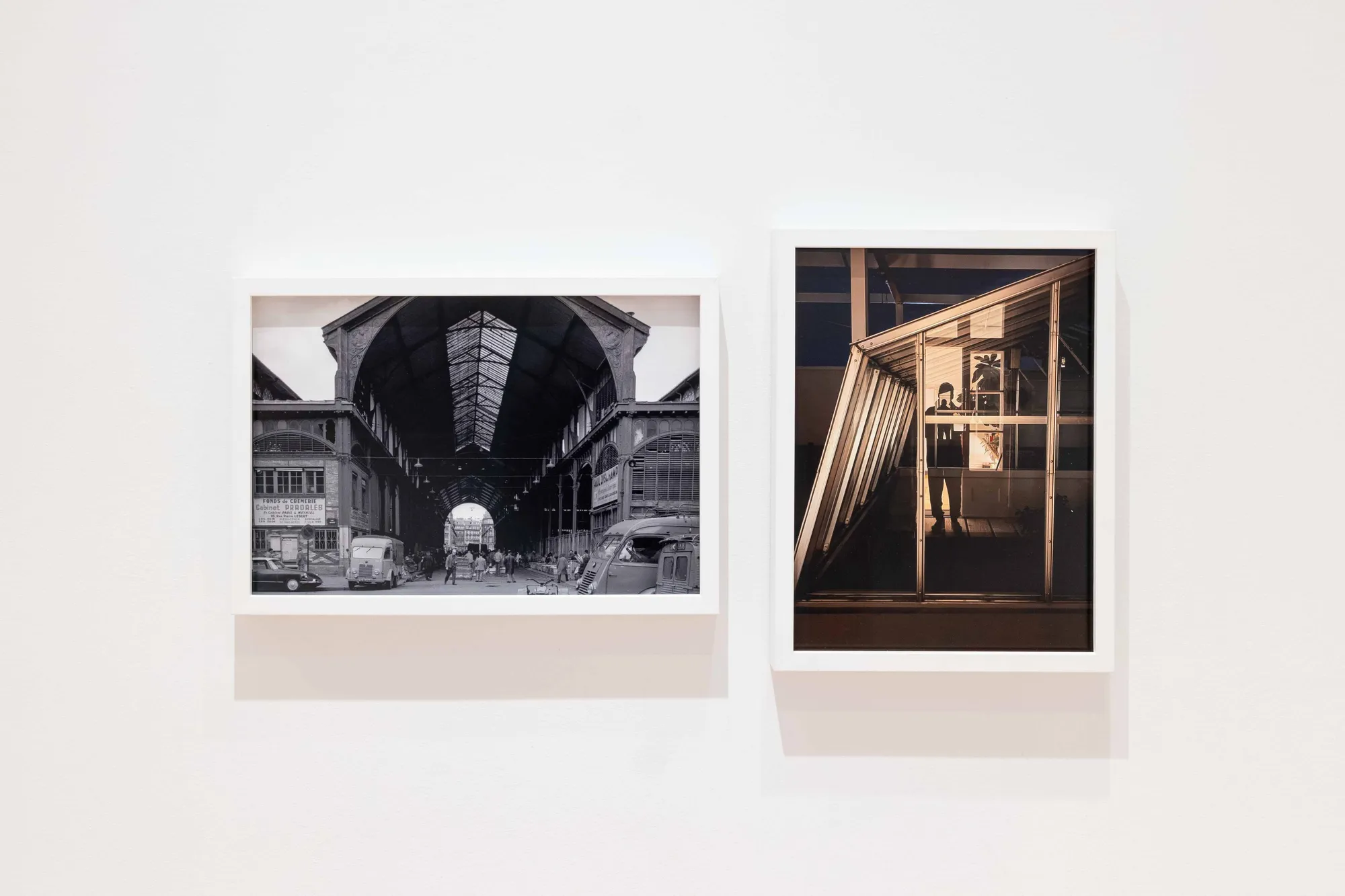 Observation - Phyllis Lambert