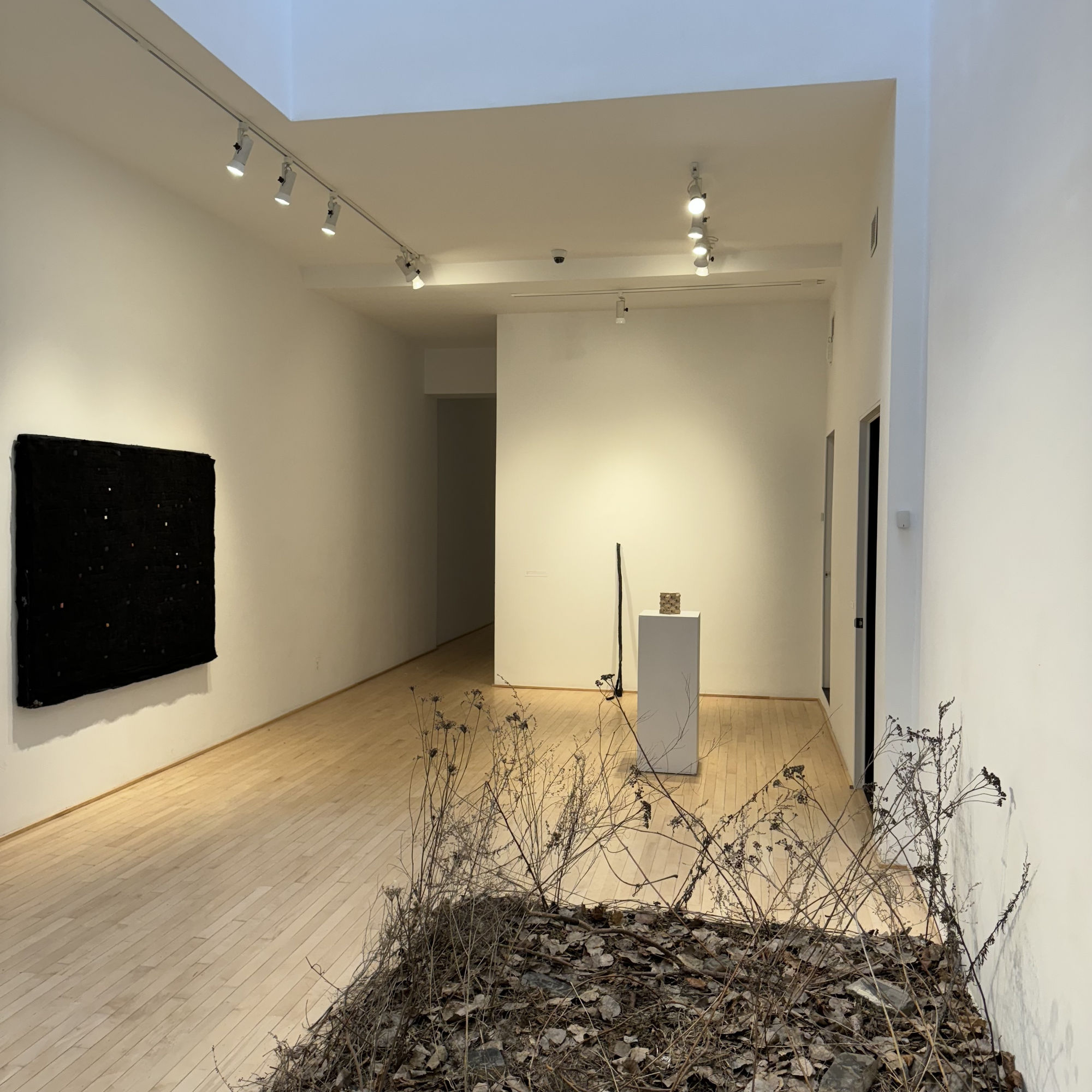 Please Speak to the Material