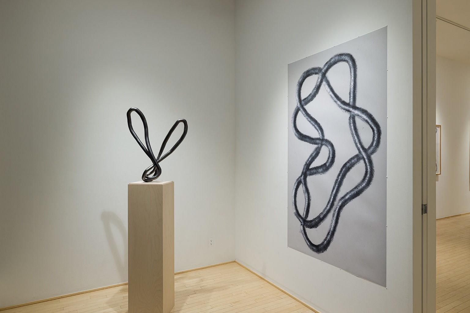 Roberto Pellegrinuzzi: TRAJECTOIRES