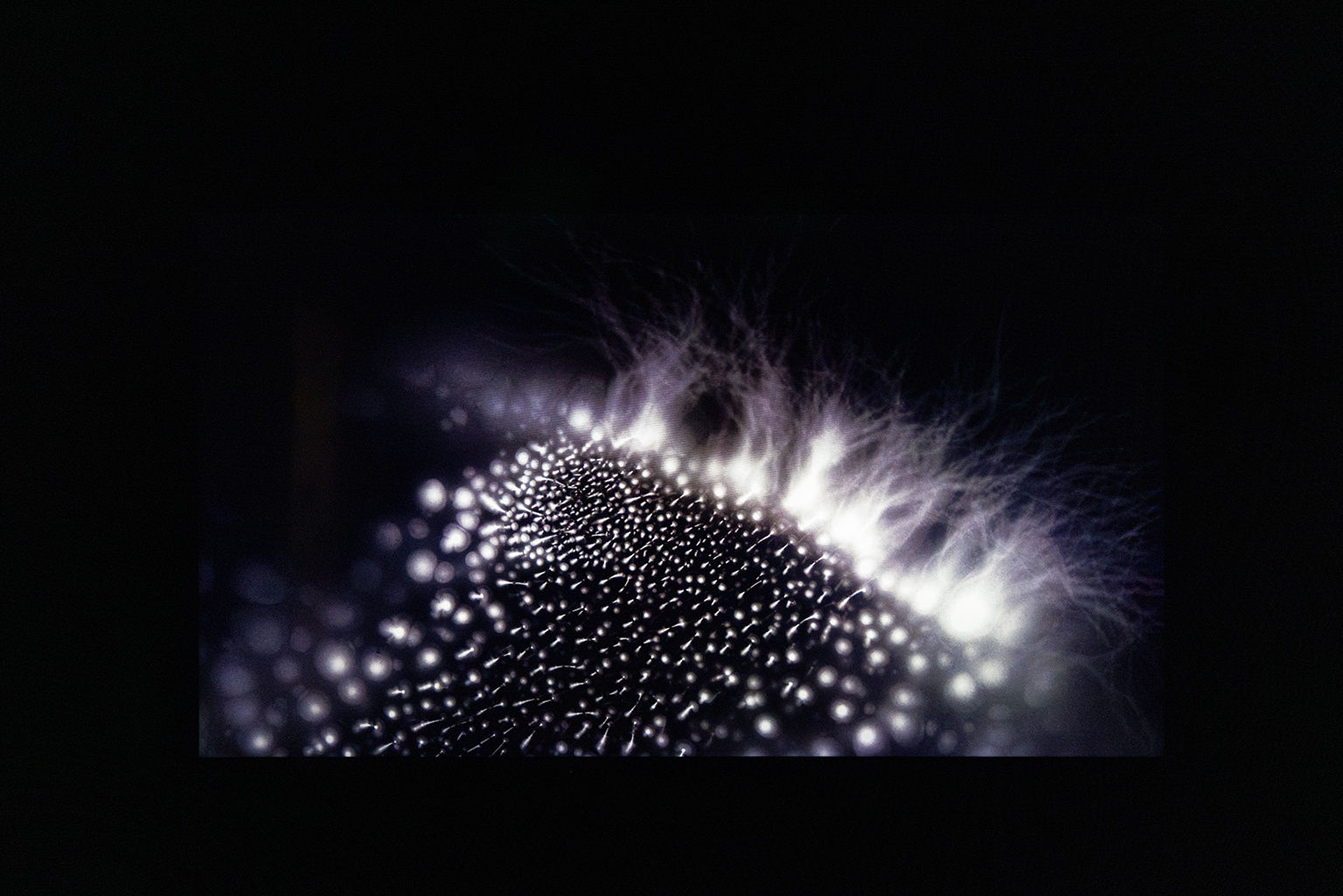 Marie-Jeanne Musiol : Je vois des étoiles au profond du noir