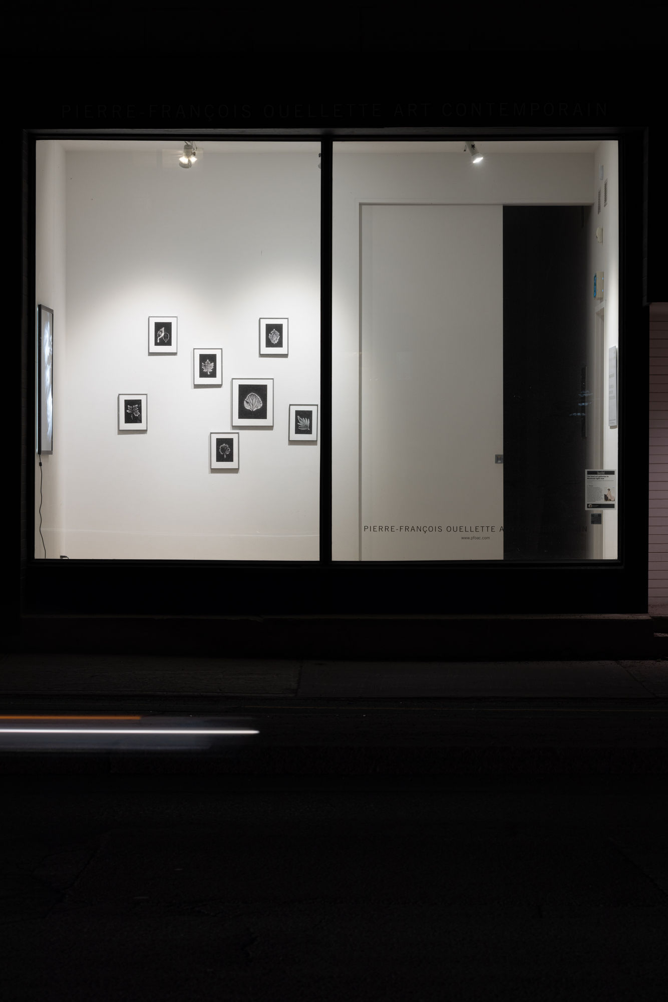 Marie-Jeanne Musiol : Je vois des étoiles au profond du noir