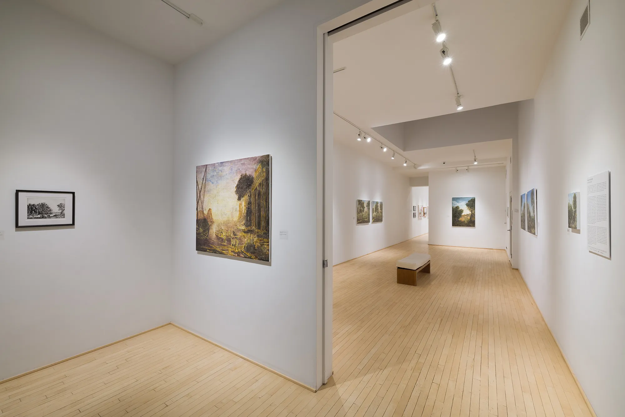 Ripley Whiteside : After Arcadia