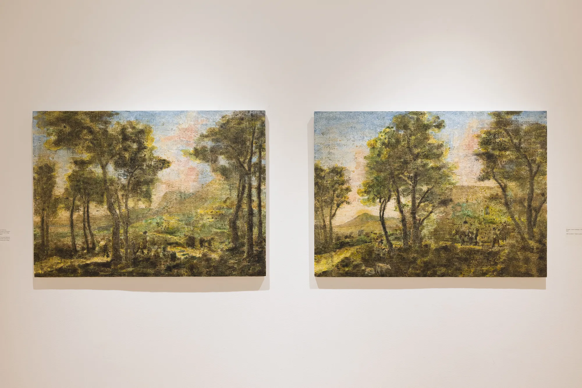 Ripley Whiteside : After Arcadia