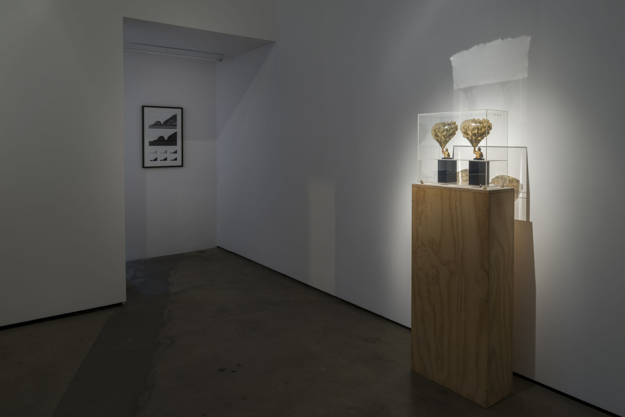 Nature is Everything - Everything is Nature