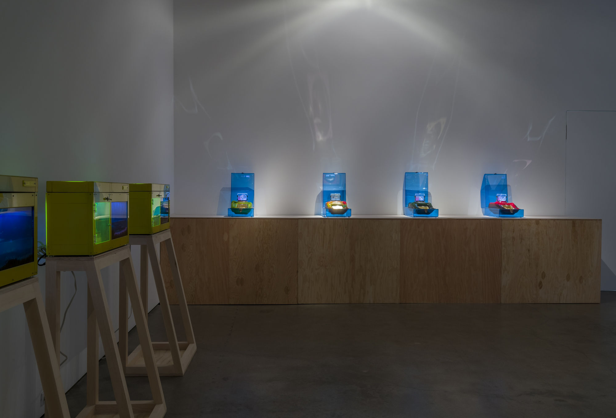 Nature is Everything - Everything is Nature