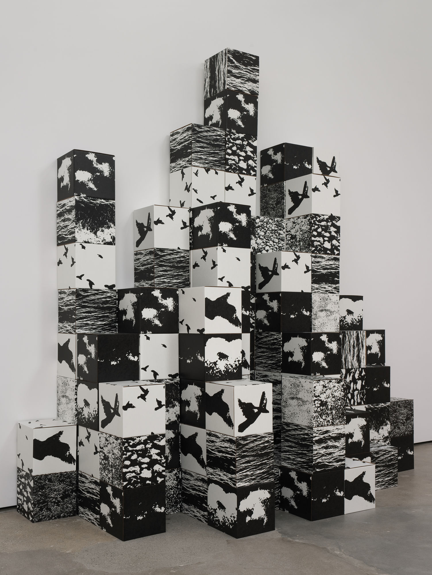 Michael de Courcy, Untitled