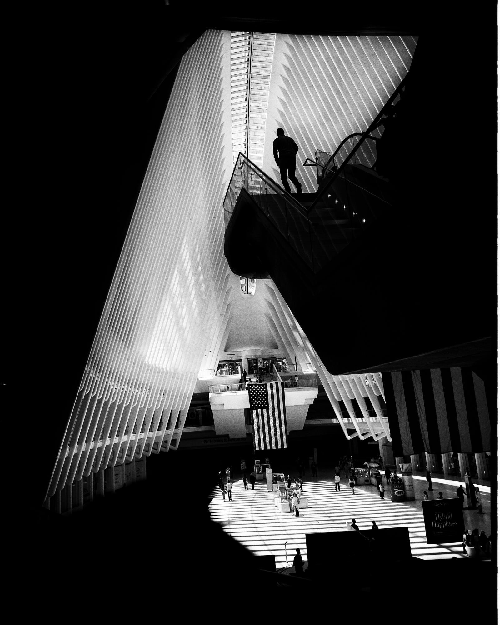 Copyright Mike Happel