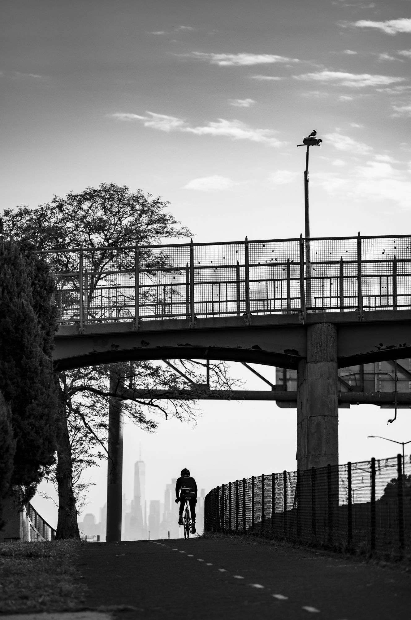 Copyright Patrice Leroux