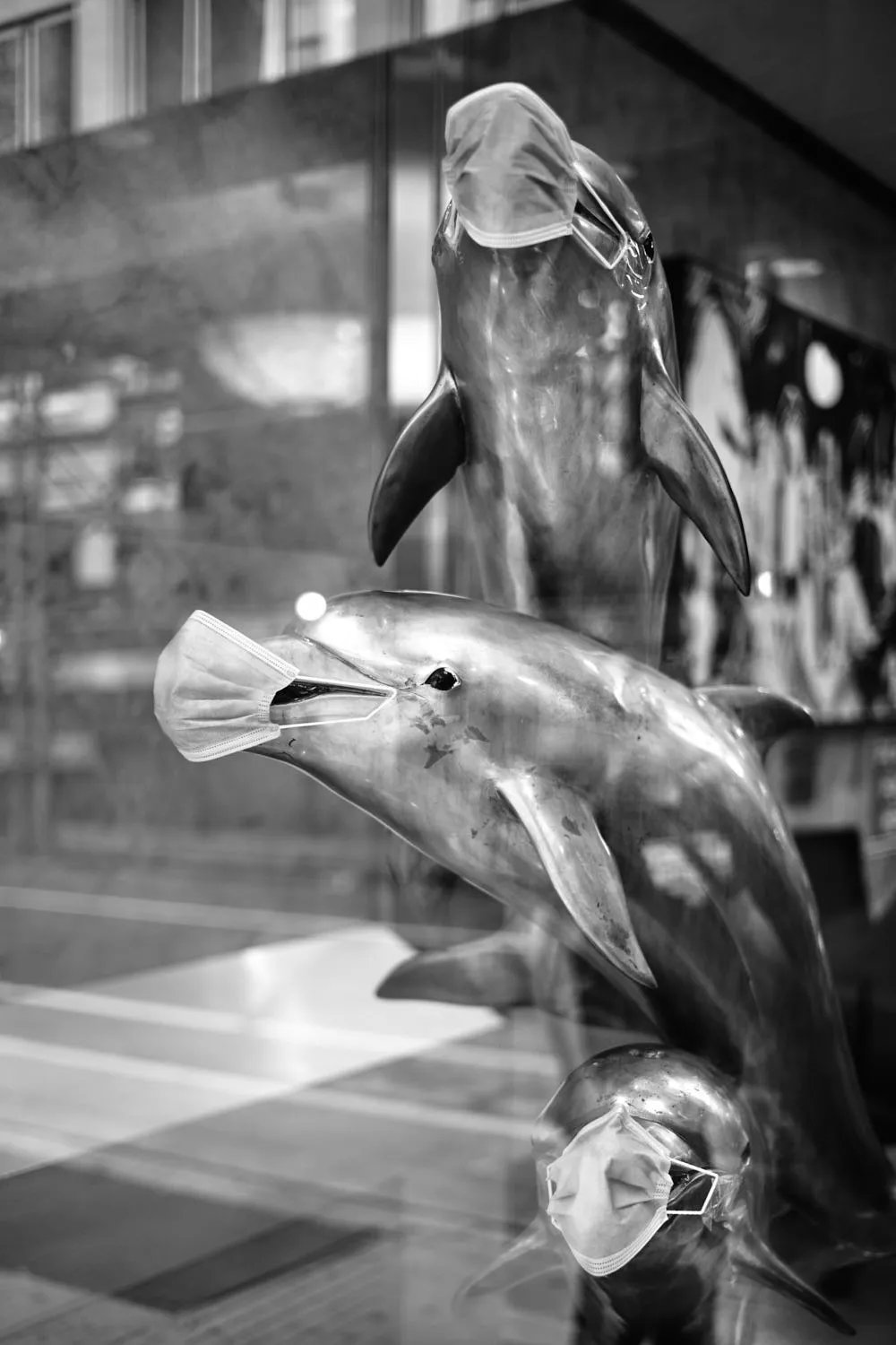 "MASKED DOLPHINS" NEW YORK CITY, 2021 Picture by Phil Penman