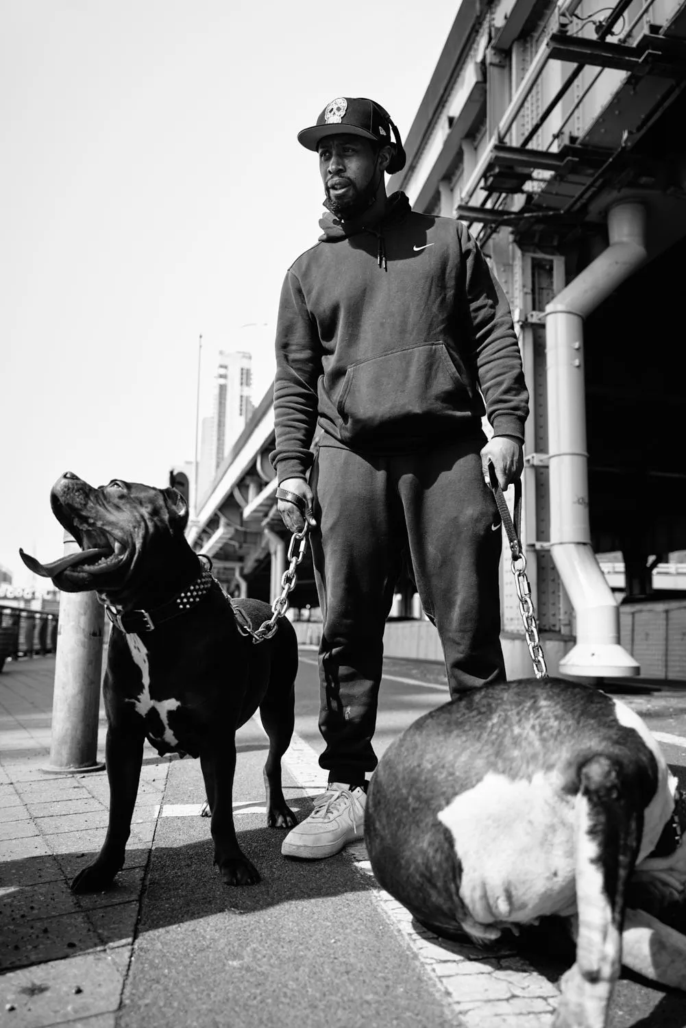 "DOGS ON THE LOWER EAST SIDE" NEW YORK CITY, 2021 Picture by Phil Penman