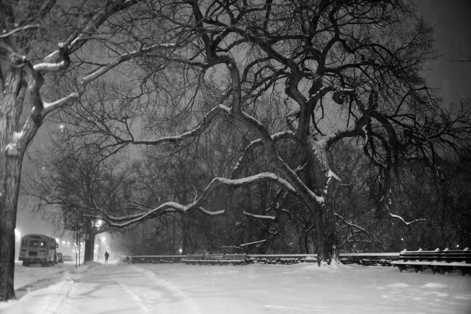 "SNOW ON CENTRAL PARK WEST " NEW YORK CITY, 2021 Picture by Phil Penman
