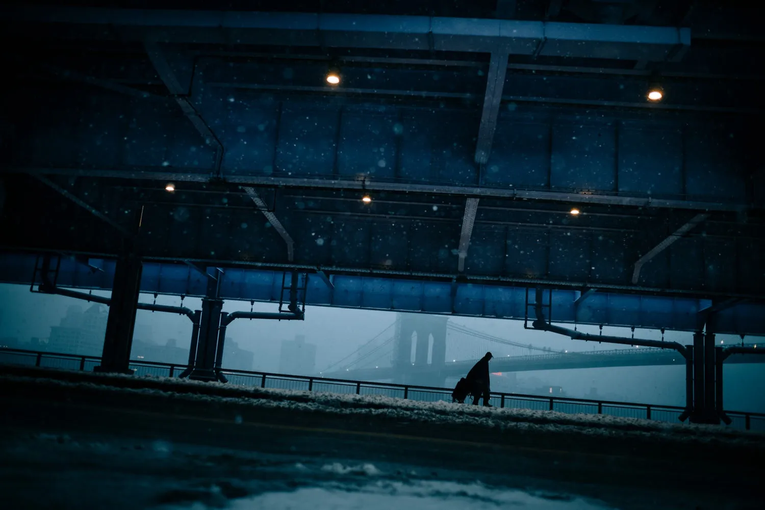 "UNDER THE FDR #2 " NEW YORK CITY 2021 Picture by Phil Penman