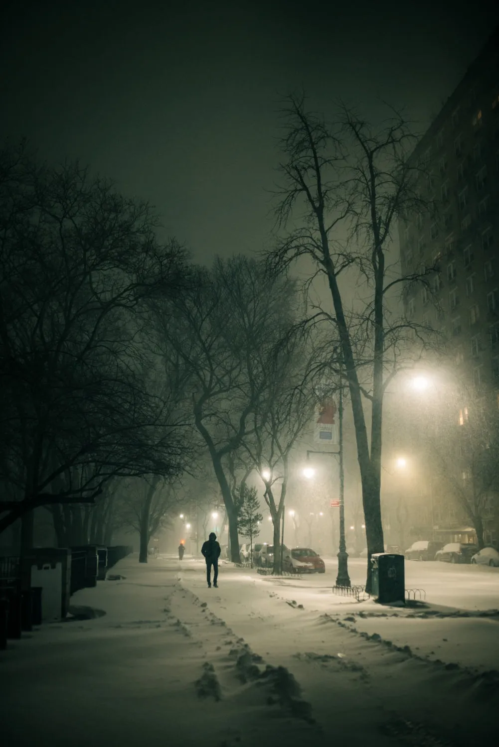 "SNOWSTORM, UPPER WEST SIDE " NEW YORK CITY 2020 Picture by Phil Penman