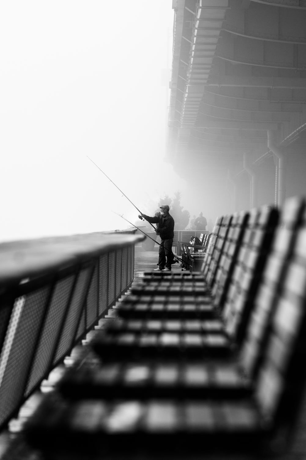 Copyright Elizabeth Fisher