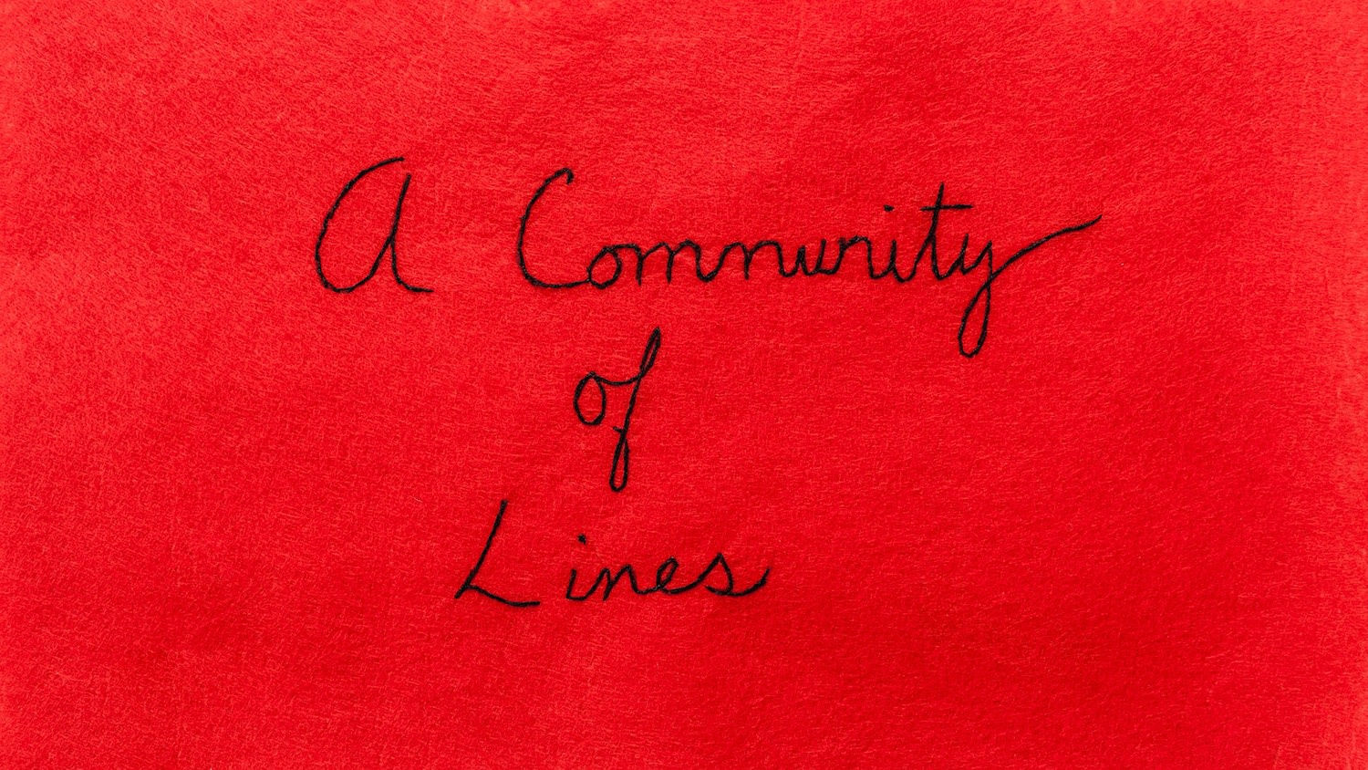 A Community Of Lines 2017 Needlework on Red Felt 34 x 60 cm