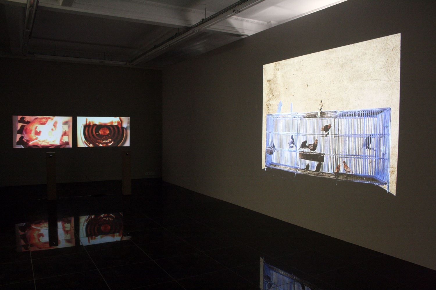 Morteza Ahmadvand - Mahmoud Bakhshi - Pedram Baldari - Simin Keramati - Neda Razavipour - Farniyaz Zaker