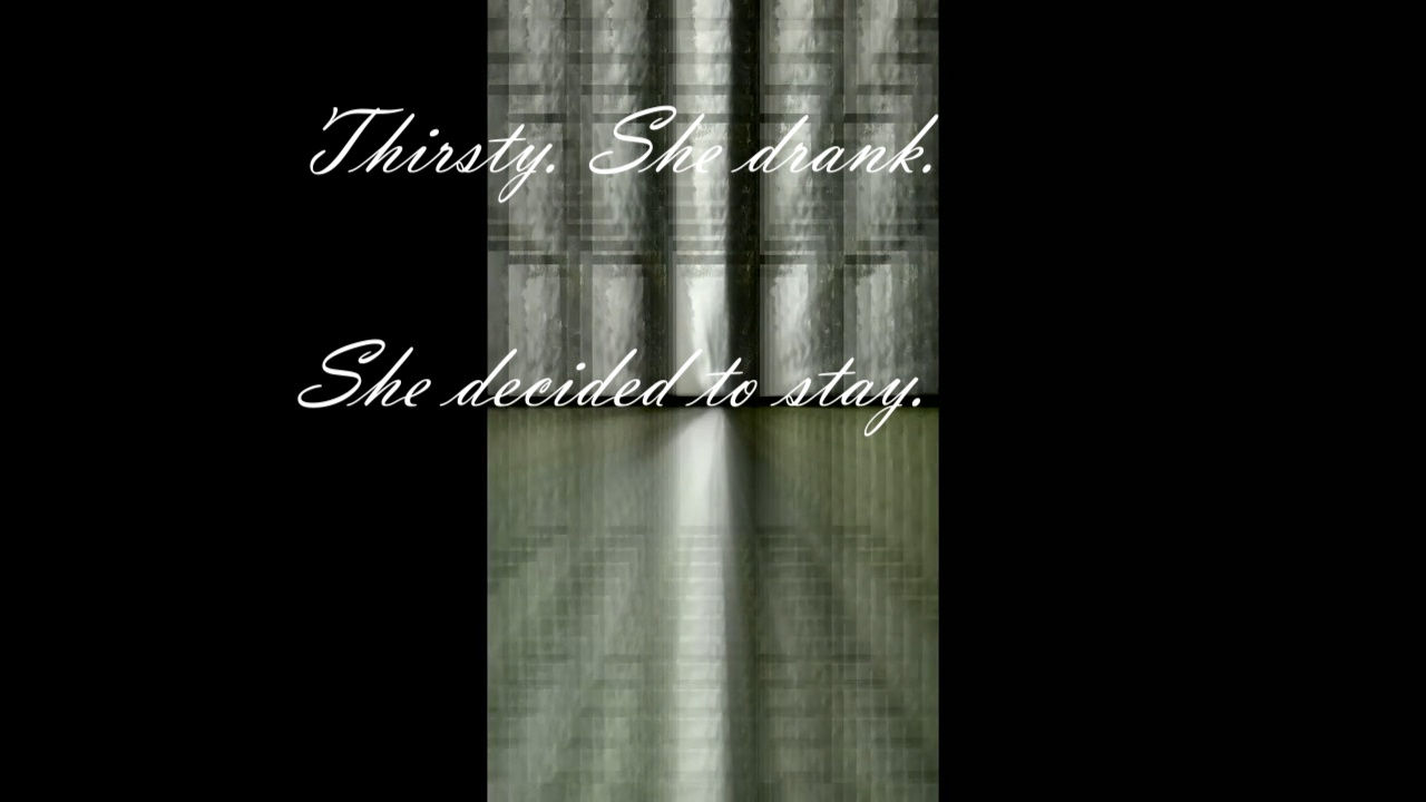 Toby Tobias Kidd, The Blossom, 2020, Video and Audio, duration: 8:28 min. Courtesy: The artist