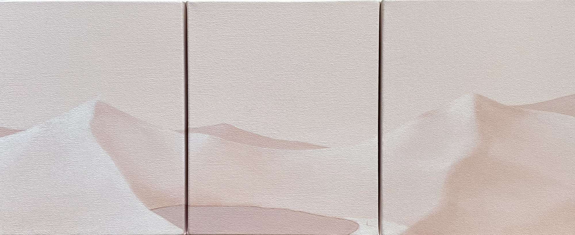 Serdar Acar A distant lake 2021 Acrylic on canvas 25 x 60 cm (triptych)