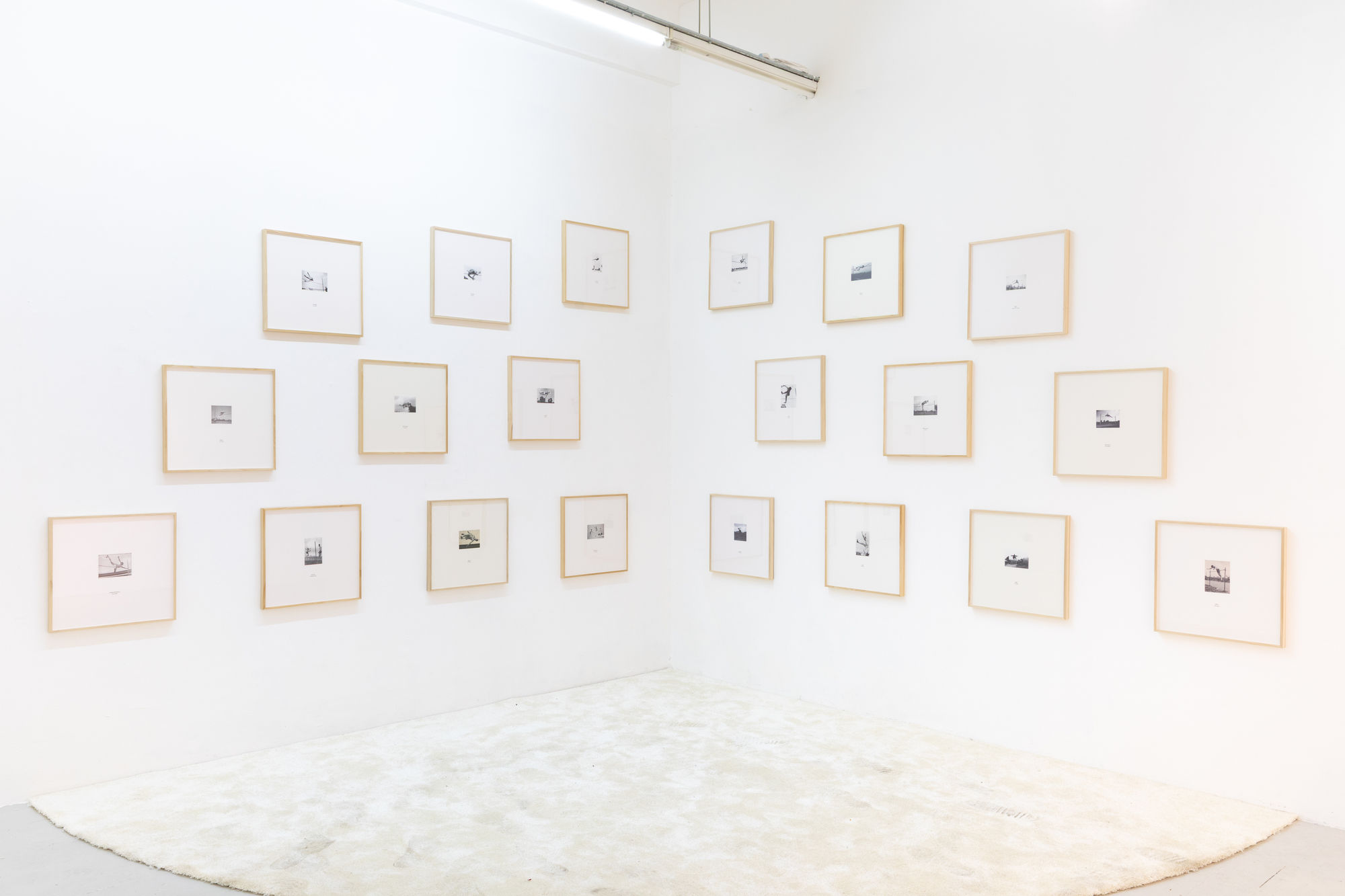 Matt Golden | Golden Family