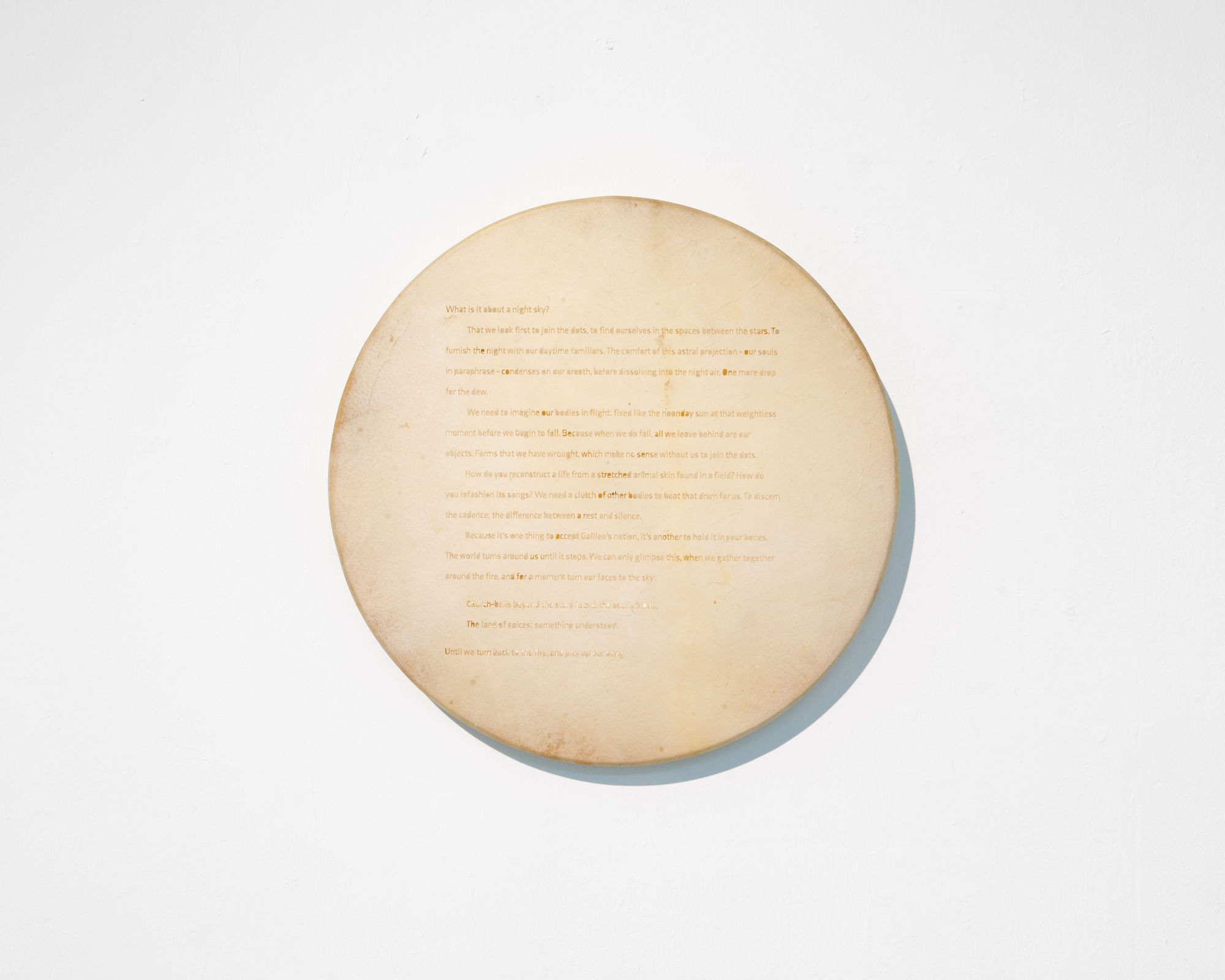 Matt Golden | Golden Family