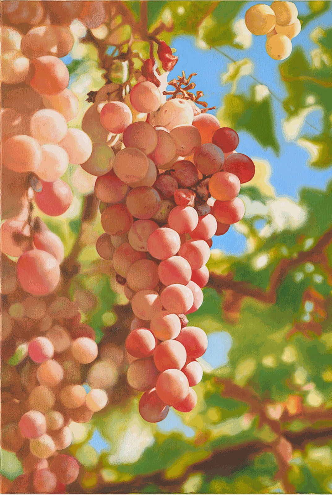 Mustafa Hulusi Cyprus Realism (Verigo Grape 4) SM​ 2019 Oil on canvas 76 x 51 cm