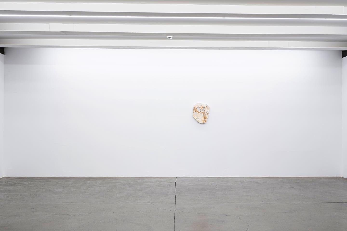 BEN BEYİNSİZ BİR APTALIM