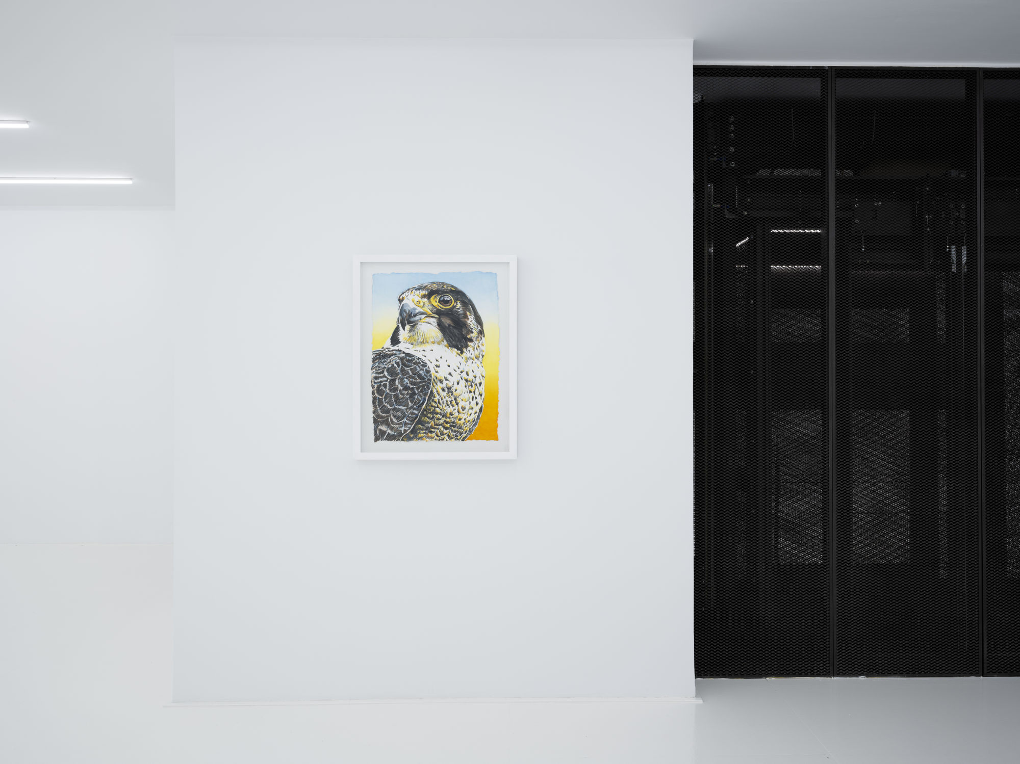 BEN BEYİNSİZ BİR APTALIM