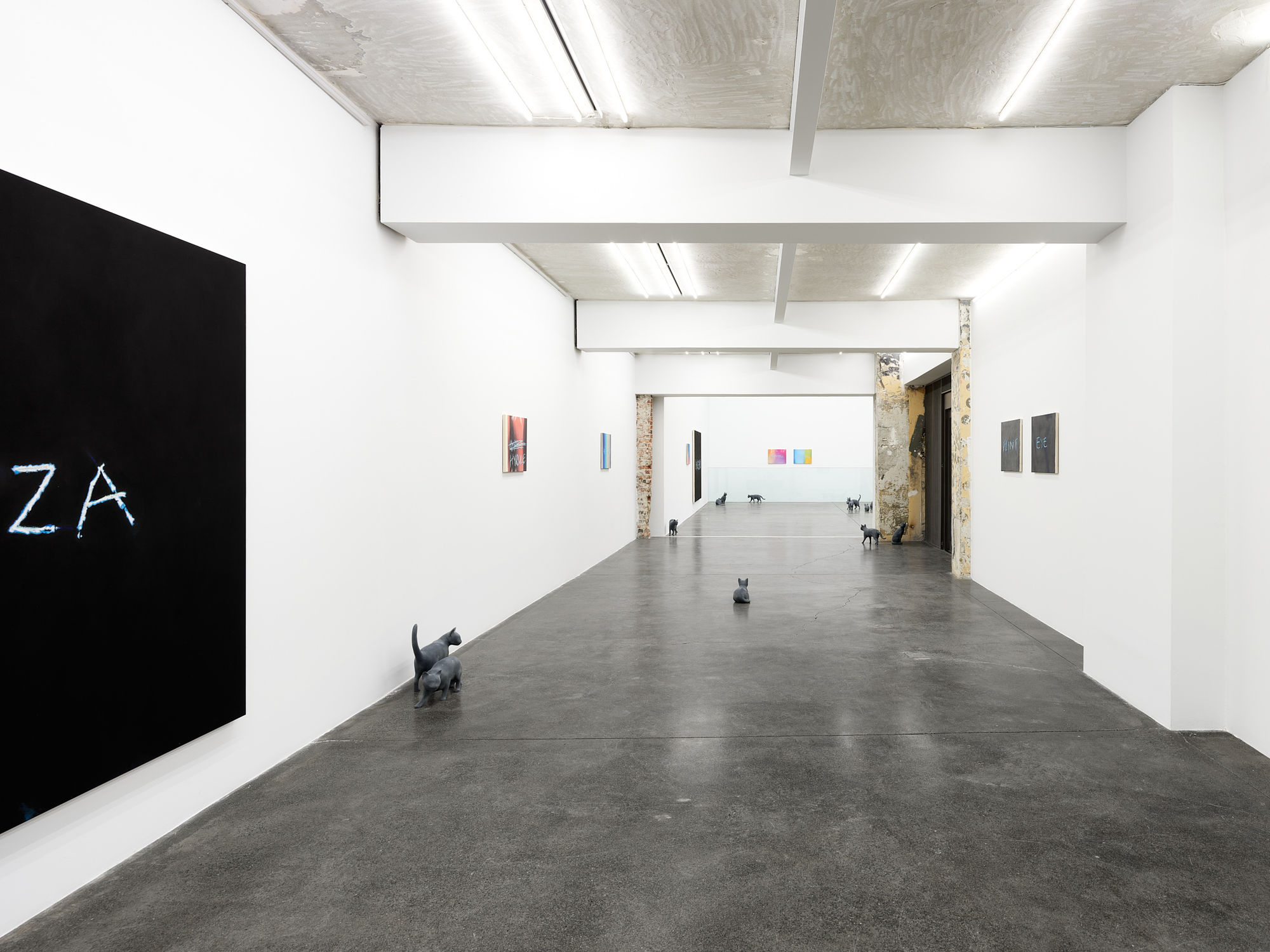 RYAN GANDER - PUSSIES AND PLACES