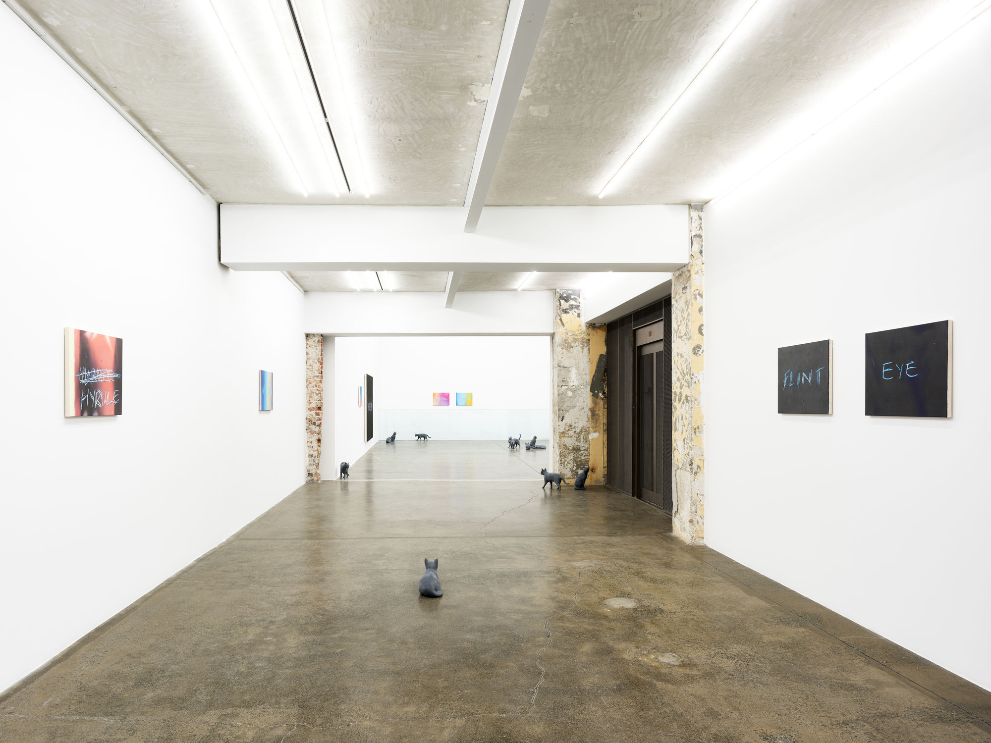 RYAN GANDER - PUSSIES AND PLACES