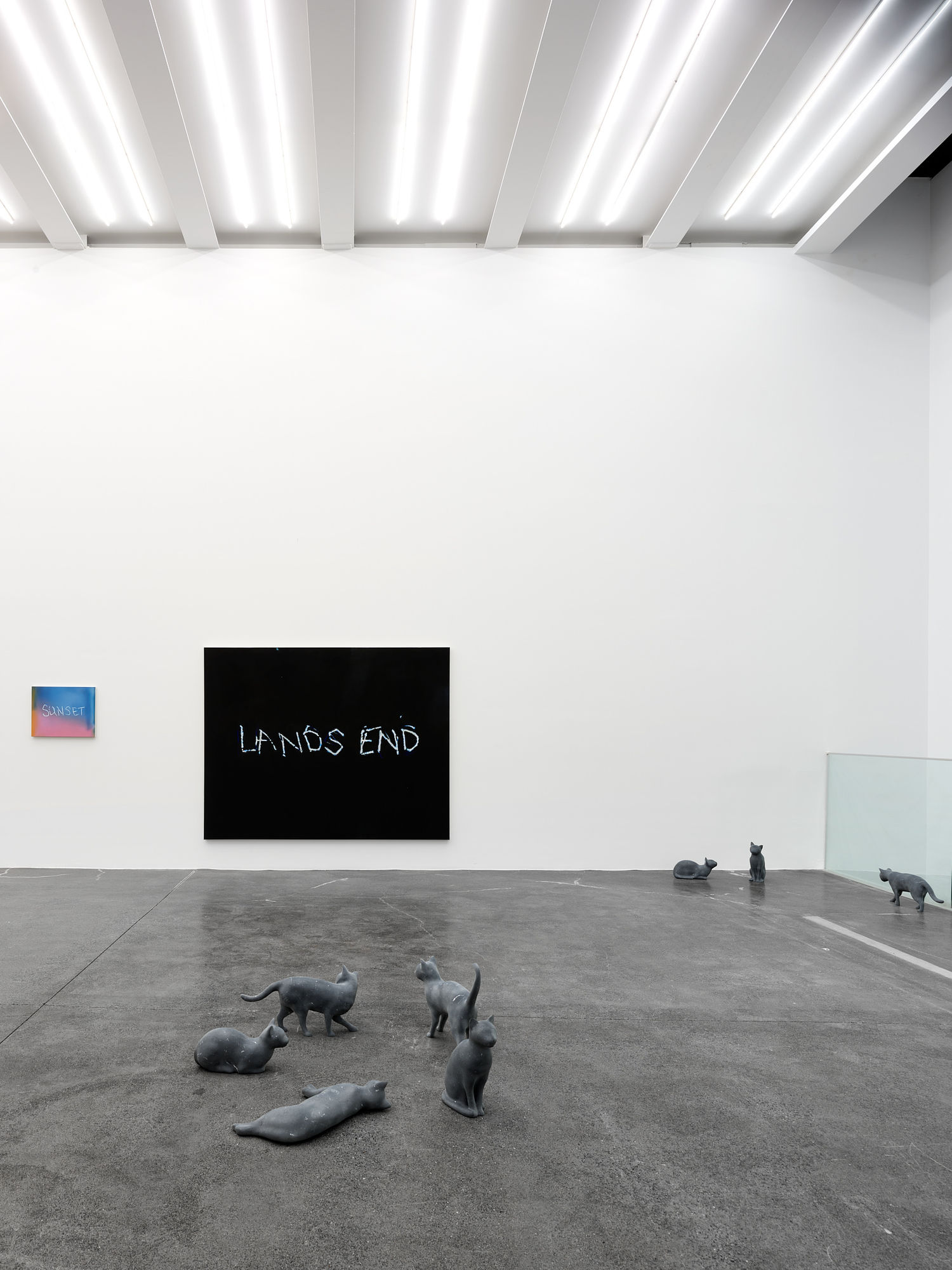 RYAN GANDER - PUSSIES AND PLACES